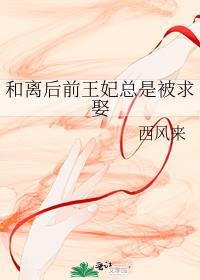 和离后前王妃总是被求娶封面