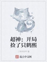 超神：开局捡了只鹤熙封面