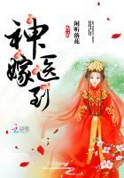 神医嫁到封面
