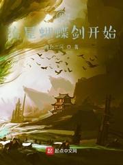 从流星蝴蝶剑开始封面