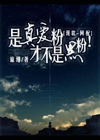 是真爱粉才不是黑粉！封面