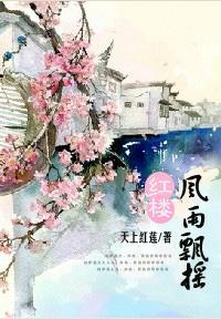 红楼之风雨飘摇封面