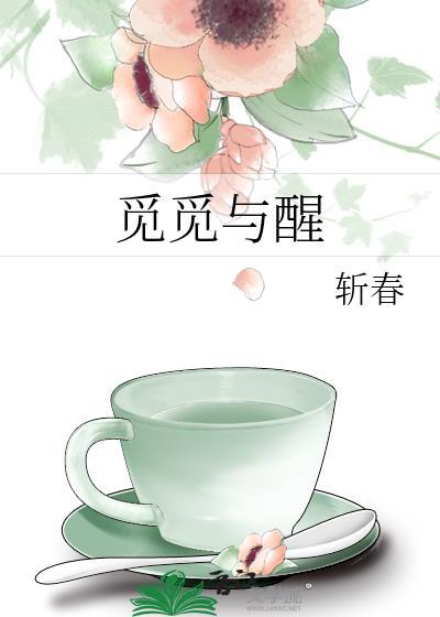 觅觅与醒封面