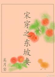 宋穿之东坡妻封面