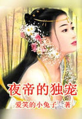 夜帝的独宠封面