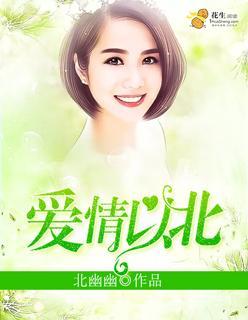 爱情以北封面