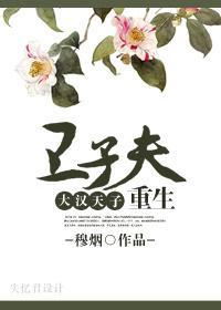 卫子夫重生封面