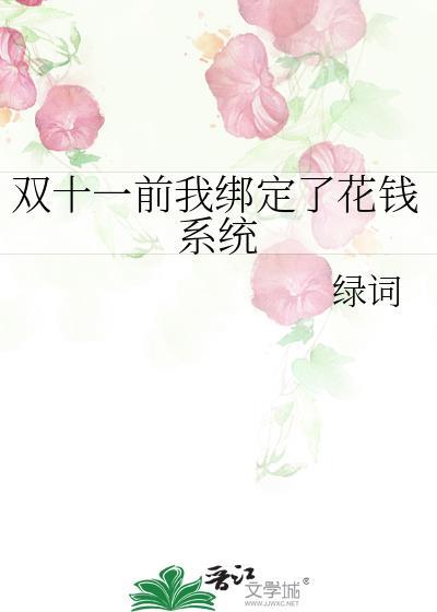双十一前我绑定了花钱系统封面