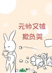 元帅又被欺负哭封面