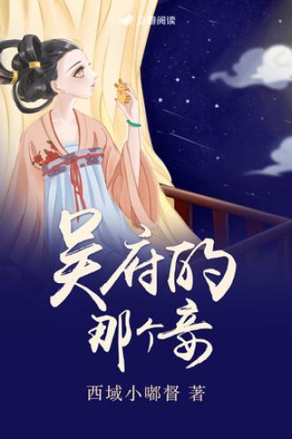吴府的那个妾封面