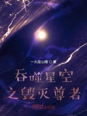 吞噬星空之毁灭尊者封面