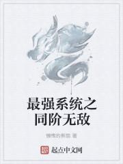 最强系统之同阶无敌封面