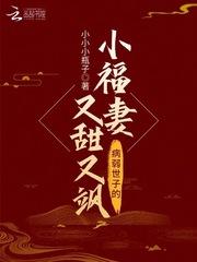 世子，夫人她表示很不服！沈易佳宋璟辰封面