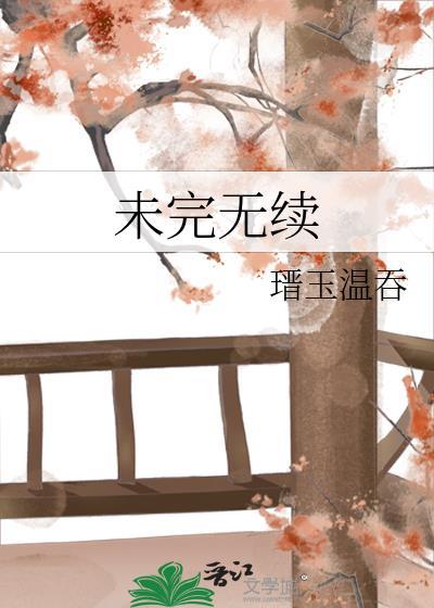 未完无续封面