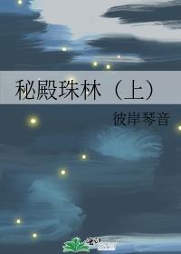 秘殿珠林（上）封面