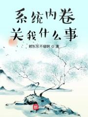 系统内卷关我什么事封面