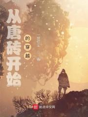 从唐砖开始的穿越封面
