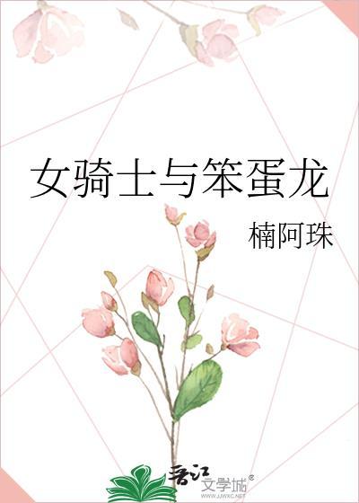 女骑士与笨蛋龙封面