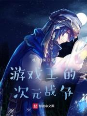 游戏王的次元战争封面