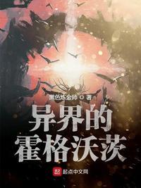 异界的霍格沃茨封面