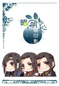 昭明心，暗月影封面