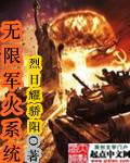 无限军火系统封面