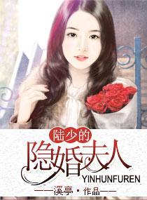 陆少的隐婚夫人封面