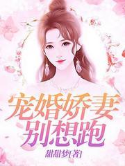 苏念傅允琛封面