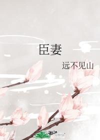 臣妻封面