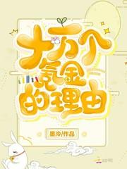 十万个氪金的理由灵琼封面