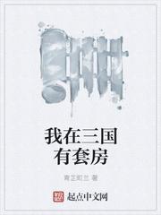 我在三国有套房封面