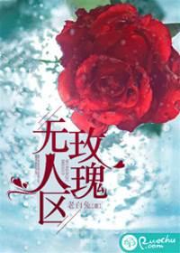 无人区玫瑰封面
