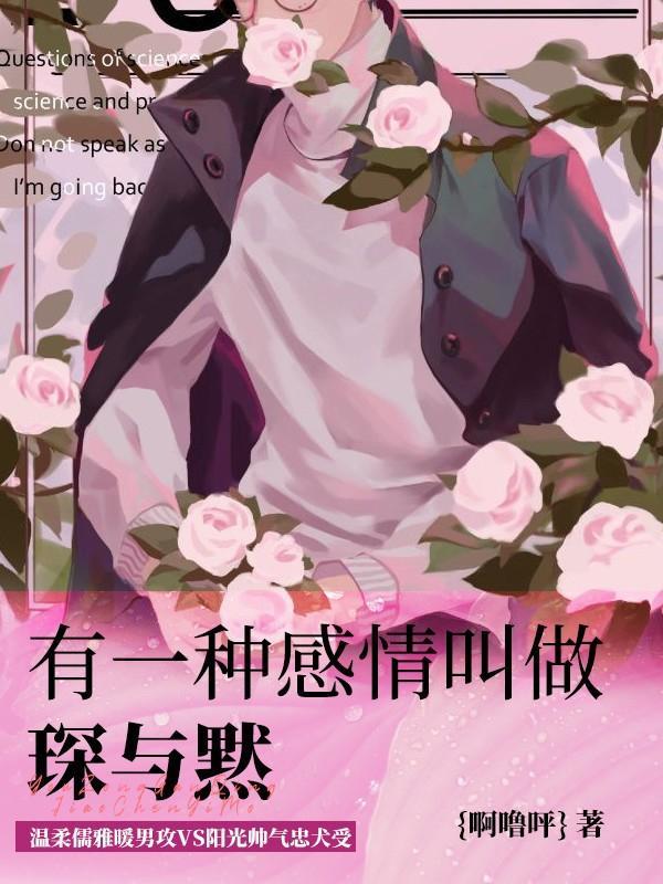 有一种感情叫做琛与黙封面