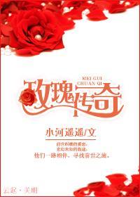 玫瑰传奇封面