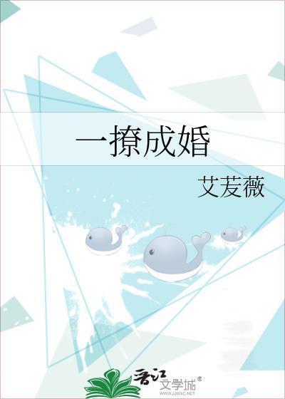 一撩成婚封面