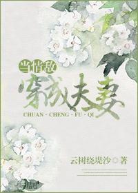 当情敌穿成夫妻封面