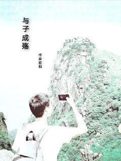 与子成伤封面