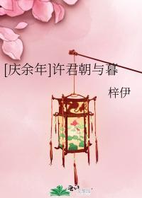 许君朝与暮封面