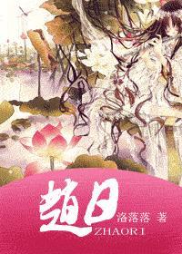 赵日封面