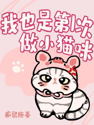 我也是第一次做猫咪封面