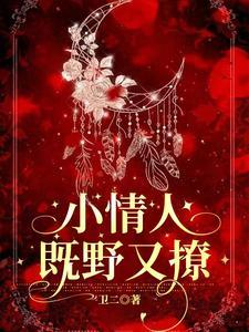 小情人既野又撩封面
