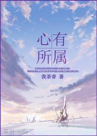 心有所属封面