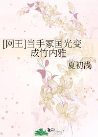 [网王]当手冢国光变成竹内雅封面