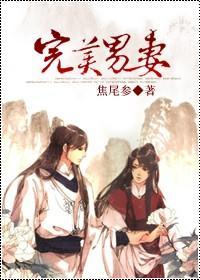 完美男妻封面