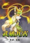 武破九霄封面