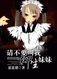 请不要叫我柳生妹妹封面