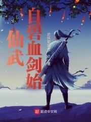 仙武：自碧血剑始封面