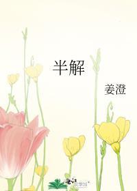 半解封面