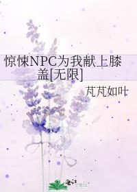 惊悚NPC为我献上膝盖[无限]封面