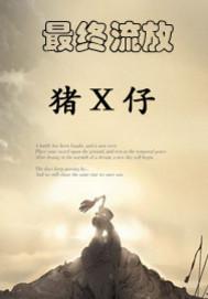 最终流放封面